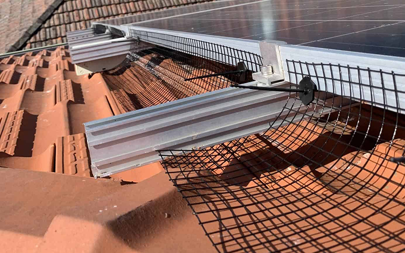 Wire Mesh for Solar Panels solution