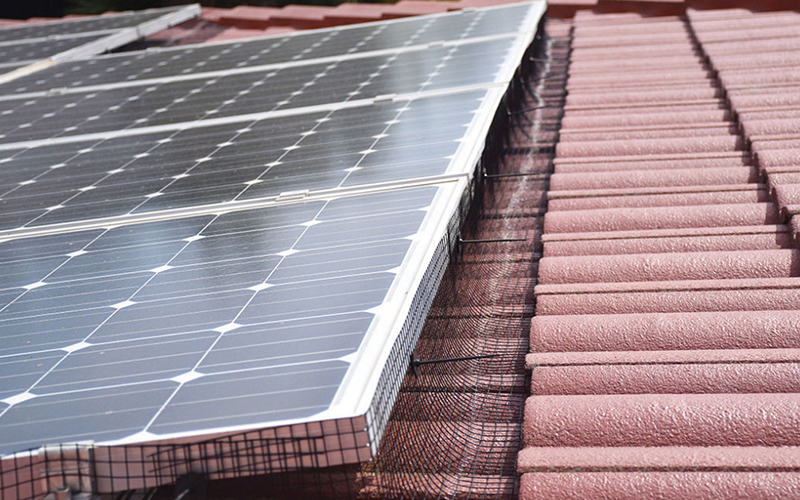 solar bird guard solution